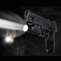 Sig Sauer FOXTROT1 Weapon Light