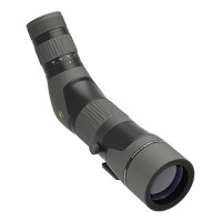 Leupold SX-2 Alpine HD 20-60x60mm Angled