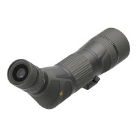 Leupold SX-4 Pro Guide HD 15-45x65mm Angled