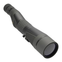 Leupold SX-4 Pro Guide HD 20-60x85mm Straight