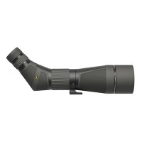 Leupold SX-4 Pro Guide HD 20-60x85mm Angled