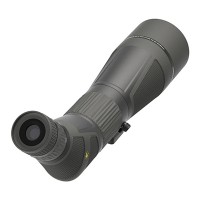 Leupold SX-4 Pro Guide HD 20-60x85mm Angled