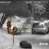 FLIR PTQ136 320 x 256 Thermal Monocular